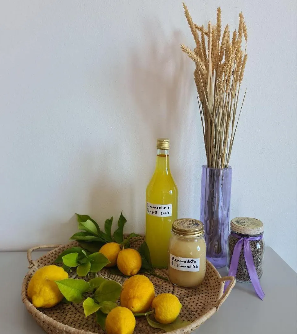 Villa Mafalda Pietra Ligure Bed & Breakfast