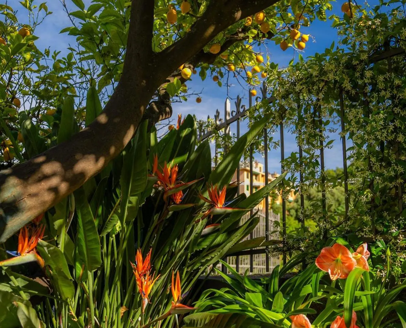 Bed & Breakfast Villa Mafalda Pietra Ligure