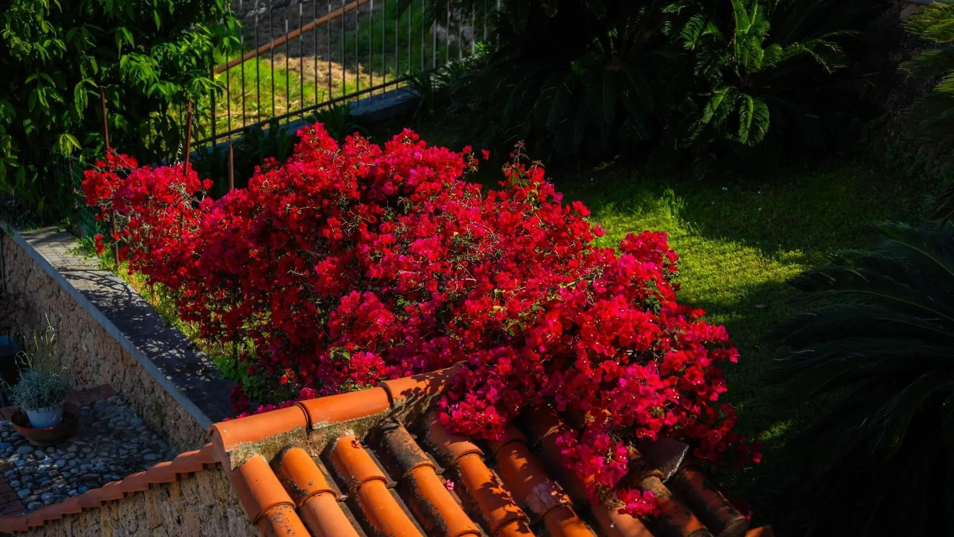 Villa Mafalda Pietra Ligure Italia